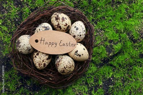 Bird eggs in nest on green grass background