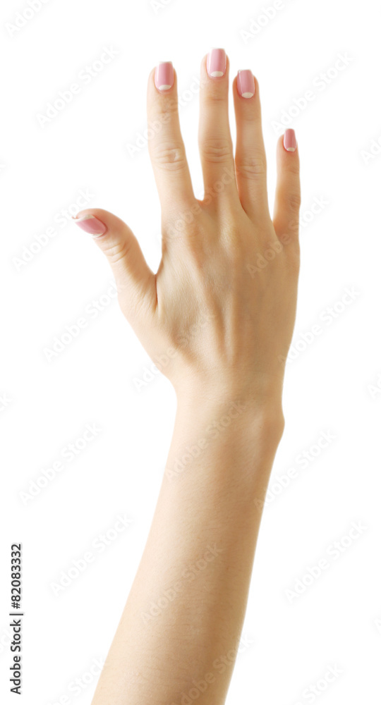 Female hand isolated on white Female hand isolated on white