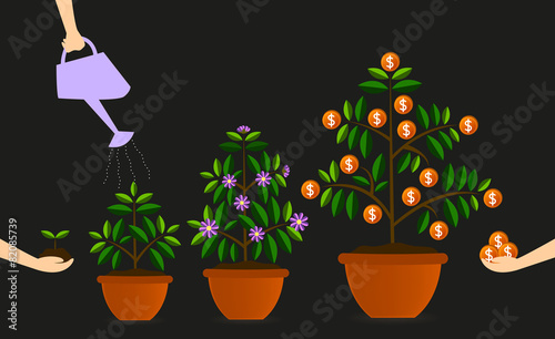 Reward of investment