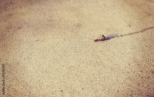 snail moving along sidewalk with instagram filter photo