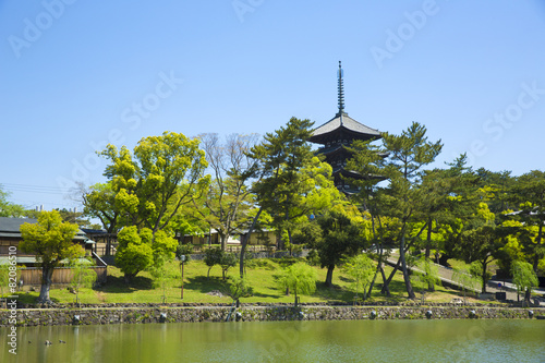 猿沢池と興福寺 © Tsuboya