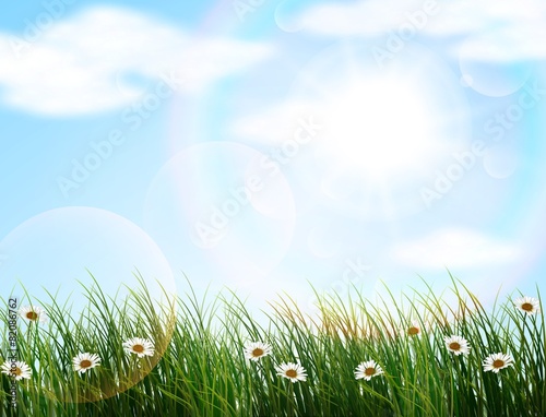 Flowers everywhere and clouds of blue reply