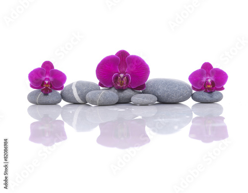 beautiful three red orchid with stones 