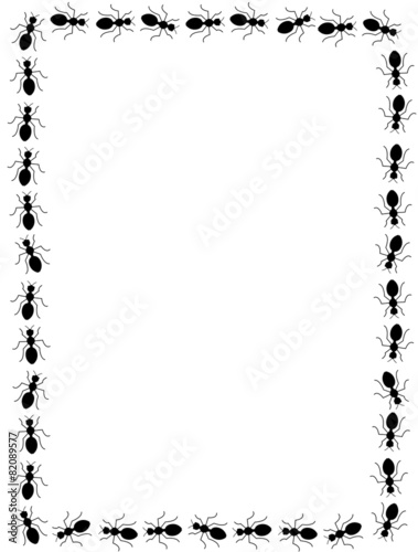Ants line / frame
