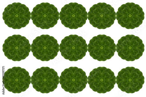 flower a pattern.( Create from leaf)