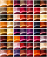 Hair colors palette. Tints. Dyed hair color sample