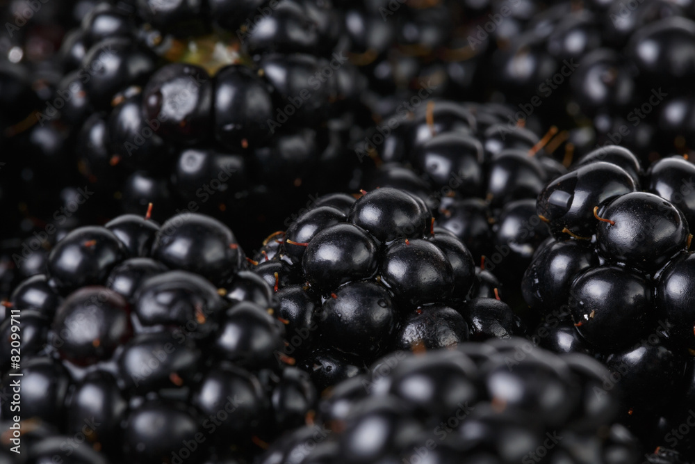 freshly picked organic blackberries freshly picked organic blackberries