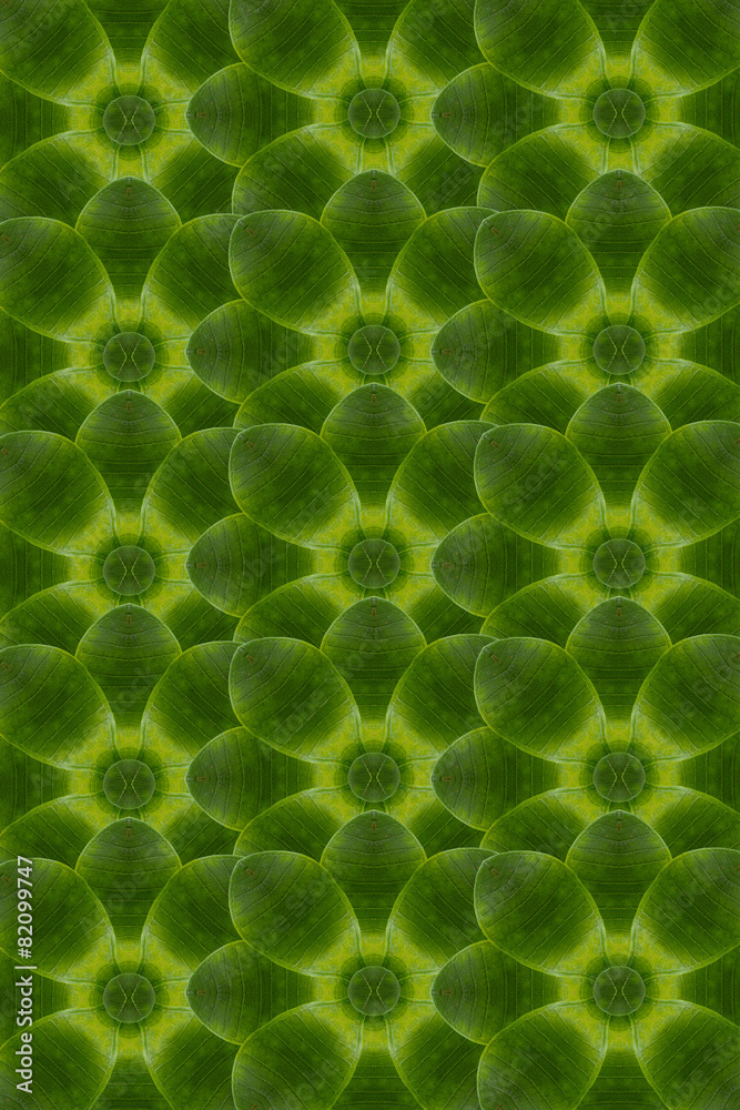 Flower  green a pattern