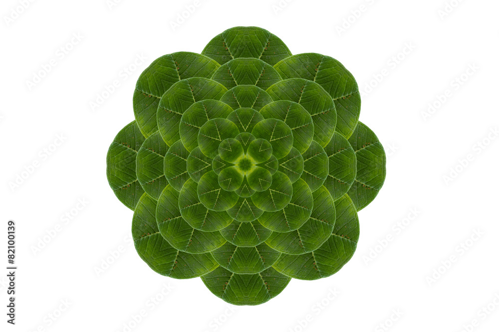 Creative floral leaf Creative floral leaf