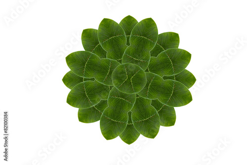 Creative floral leaf