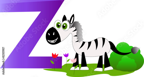 Zebra with the letter z