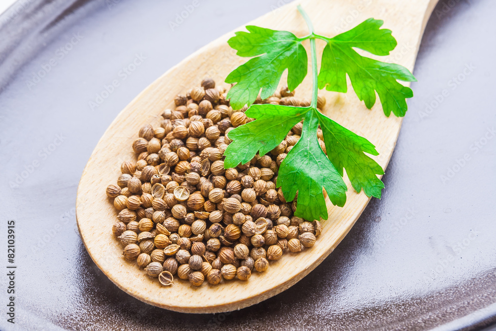 Coriander seeds on wooden spoon Coriander seeds on wooden spoon