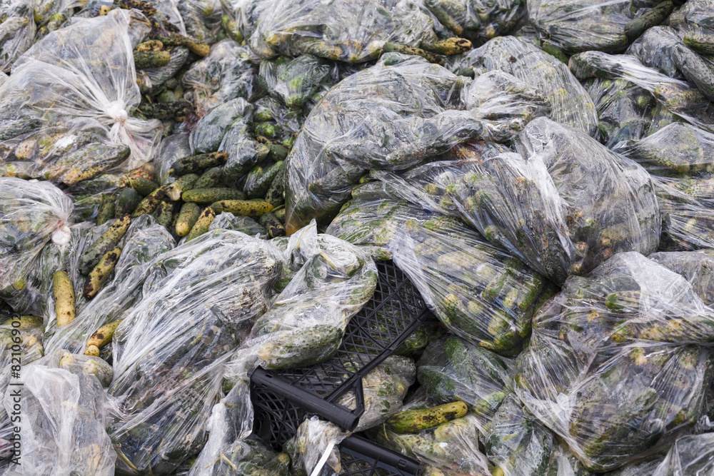 Rotten cucumbers in plastic sacks on the landfill Rotten cucumbers in plastic sacks on the landfill