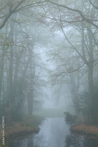 Pond in a landscape park on a foggy  spring day.