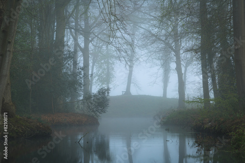 Pond in a landscape park on a foggy, spring day.