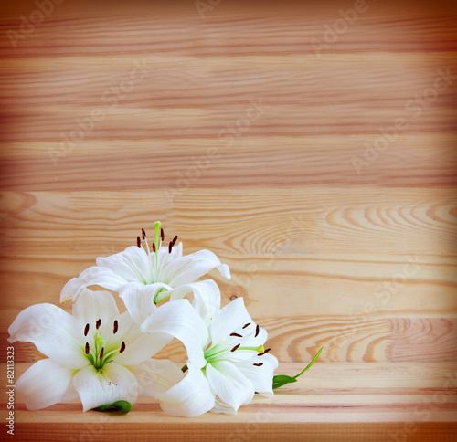 White lilies isolated .