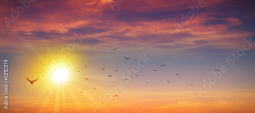 Fototapeta Naklejka Na Ścianę i Meble -  Panoramic wild sunset