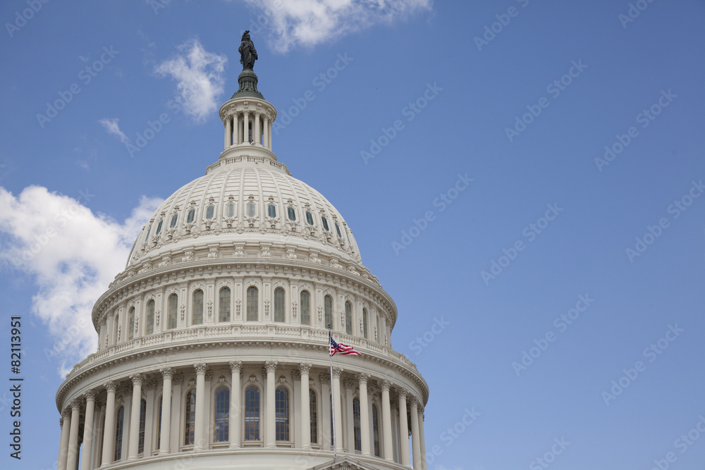 U.S. Capitol in Washington D.C.