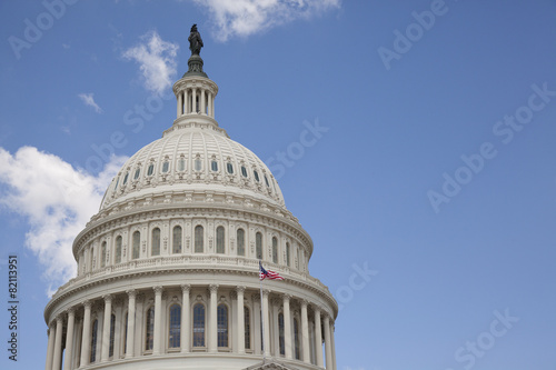 U.S. Capitol in Washington D.C.