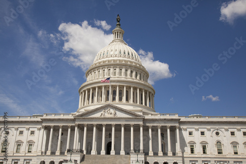 U.S. Capitol in Washington D.C.