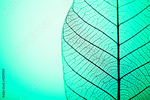 Obraz Zredukowany liść na zielonym tle, zamyka up