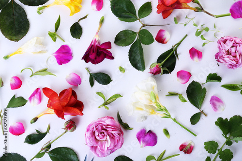 Leaves and petals of spring flowers on white background,