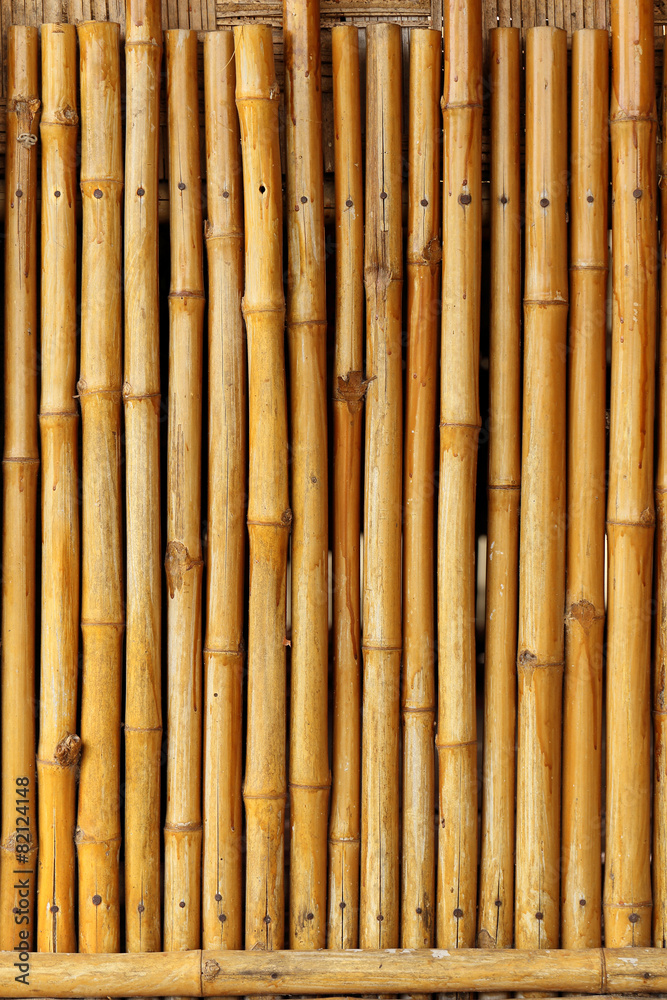 Fototapeta premium Golden bamboo fence background.