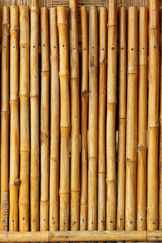 Fototapeta Naklejka Na Ścianę i Meble -  Golden bamboo fence background.