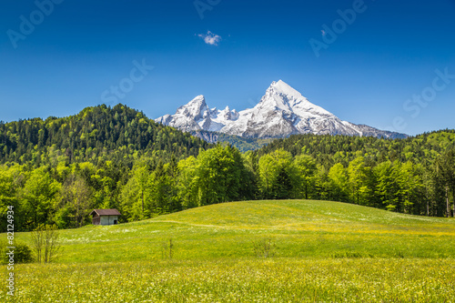 Watzmann mountain with flower meadows, Bavaria, Germany