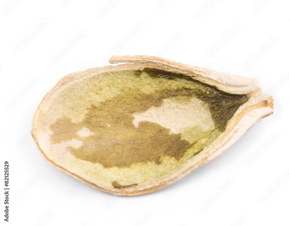 Obraz premium Single pumpkin seed peeled.