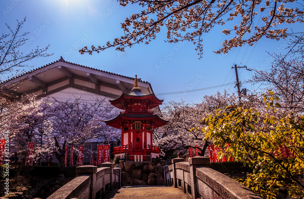 Fototapeta premium Świątynia