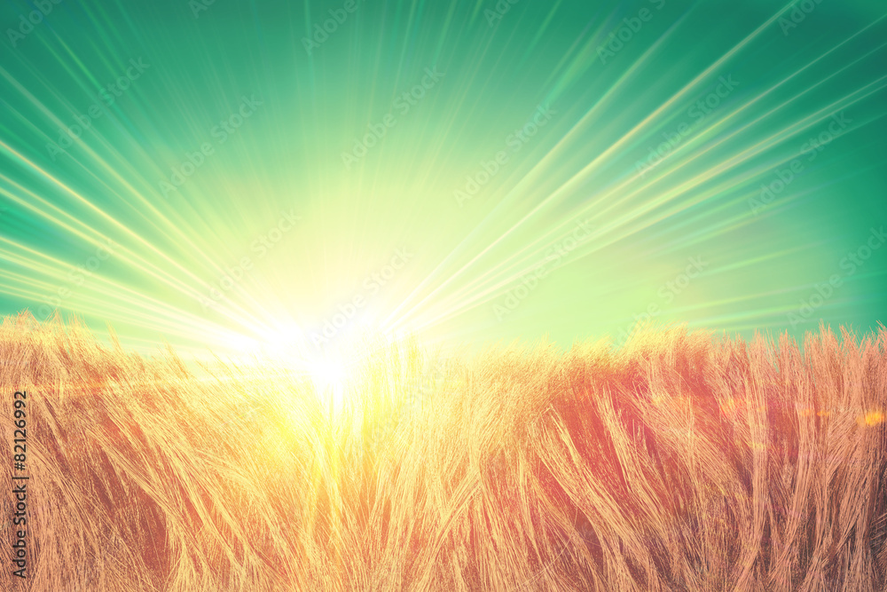 3d abstract sunbeam shine through natural fur or cornfield