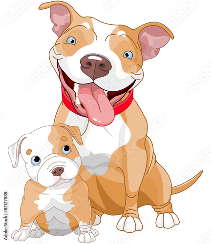 Pit-bull mother and cub