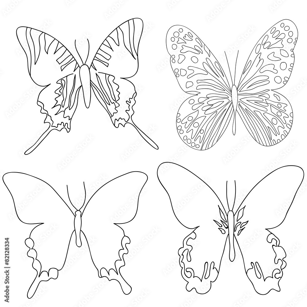 Fototapeta premium butterfly