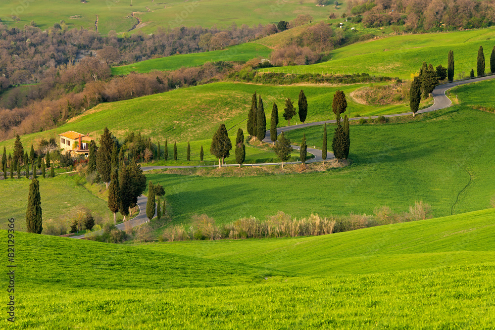 Tuscany Spring Landscape Italy