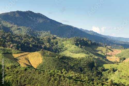 Phu Chi Fa, Thailand