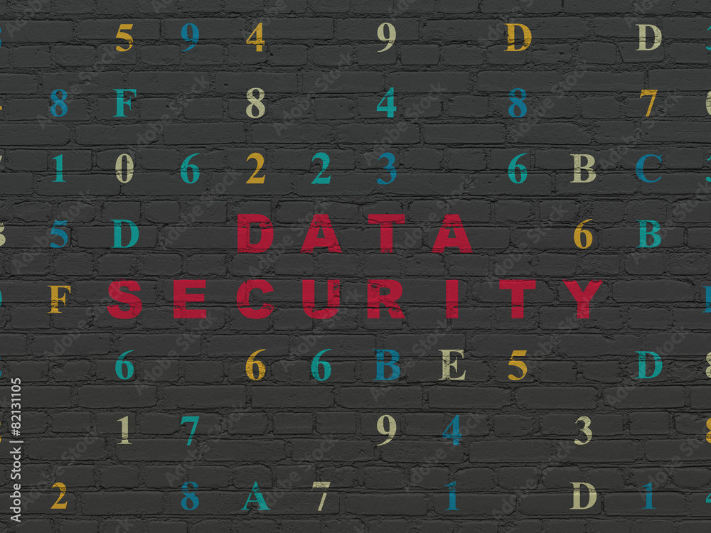 Privacy concept: Data Security on wall background
