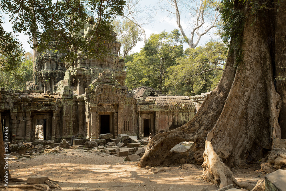 Fototapeta premium Ta Prohm