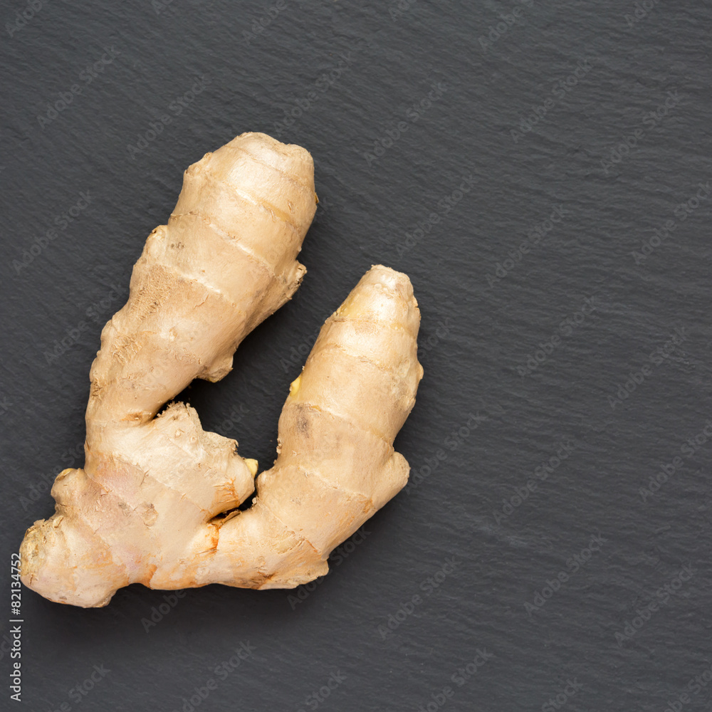 Ginger on a dark background Ginger on a dark background
