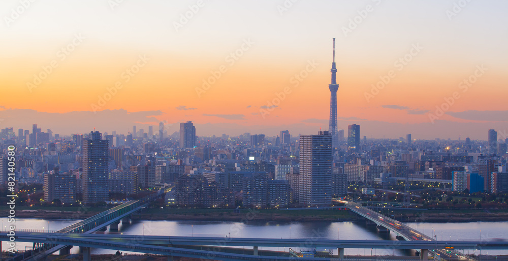 Tokyo city view with Tokyo sky tree and sumida river