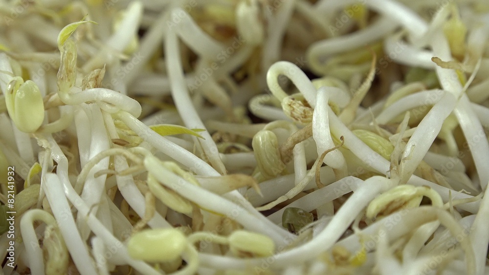 Portion of Mungbean Sprouts (loopable) Portion of Mungbean Sprouts (loopable)