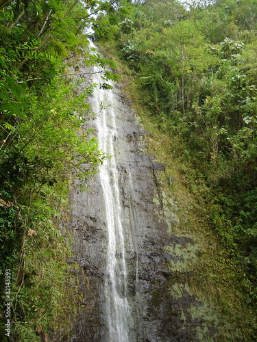 オアフ島　マノア滝