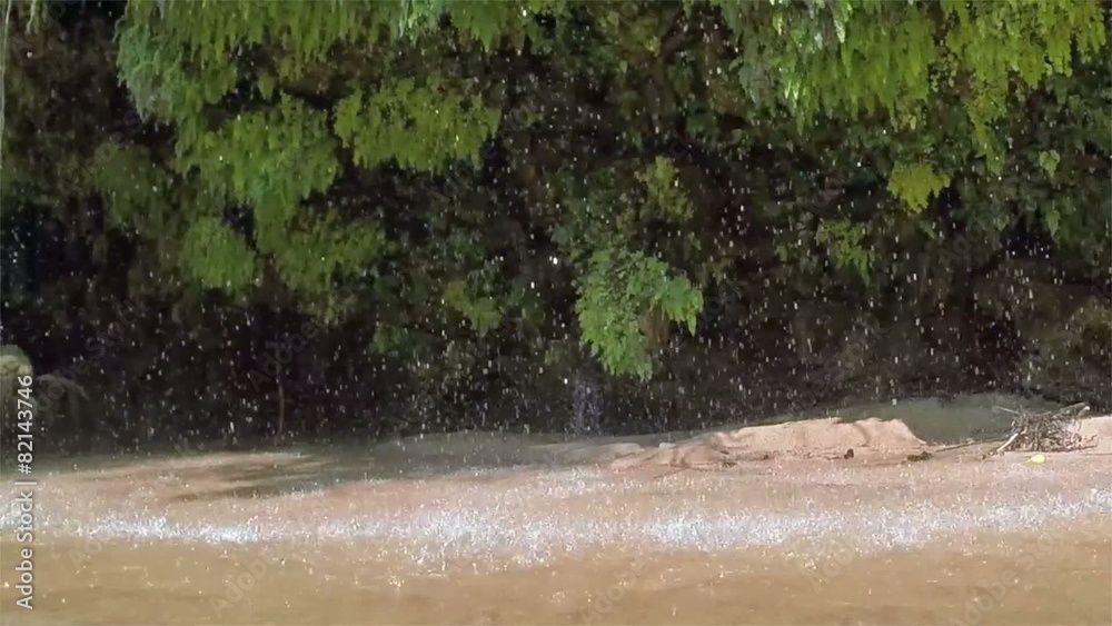 Spring water falling from fern-covered rocks into river Spring water falling from fern-covered rocks into river