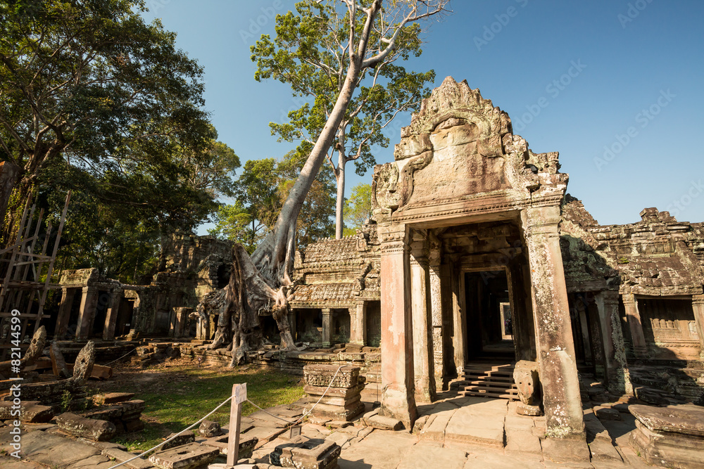 Fototapeta premium Preah Khan entrance and tree