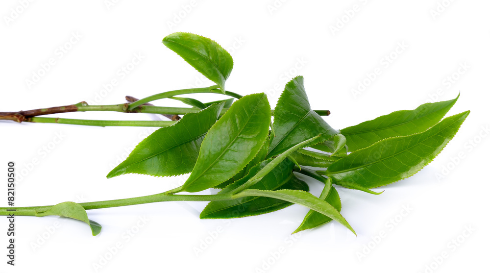 green tea leaf isolated on white background green tea leaf isolated on white background