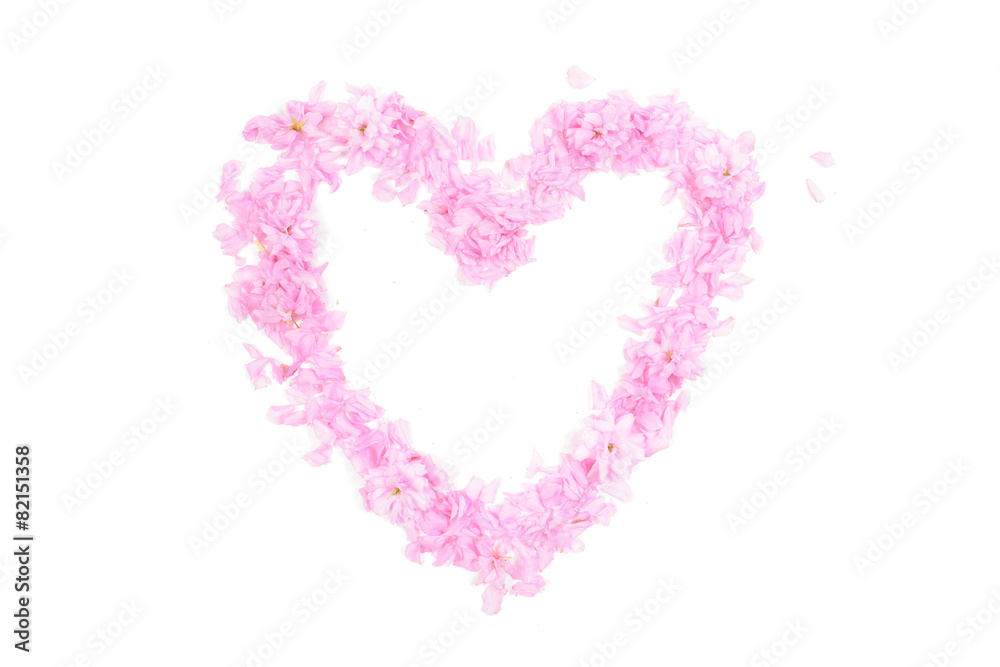 Heart shape made from pink petals and blossoms