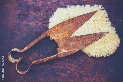 Obraz na plátně Antique sheep wool shears scissors