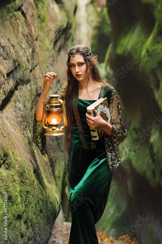 Dekoracja na wymiar  female-elves-in-the-mountains-is-fabulous-lamp-so-the-book