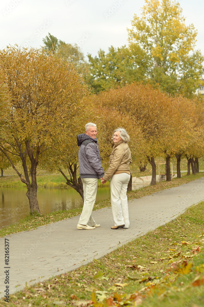 Fototapeta premium Senior couple in autumn park