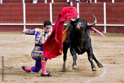 Matador in the bullring, the bull fighting